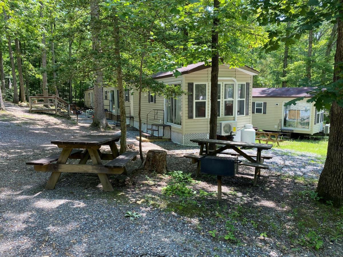 The Vintage Rv'S At Wilderness Presidential Camp Resort By Tripforth Spotsylvania Exterior foto